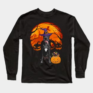 Great dane pumpkin witch Long Sleeve T-Shirt